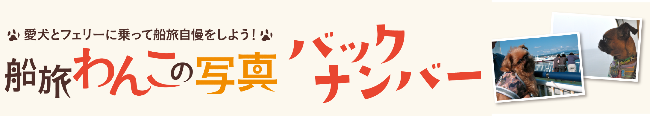 2016年5月