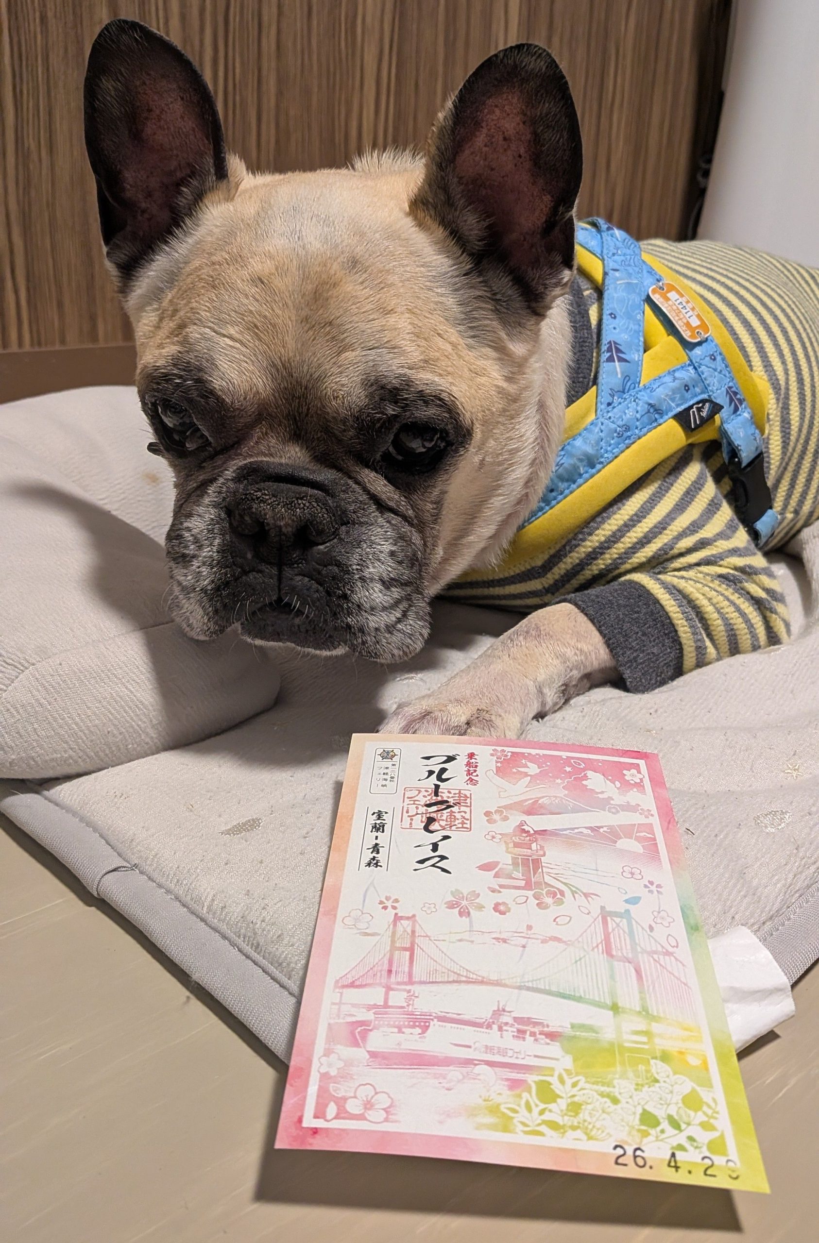 「石雄ちゃん」