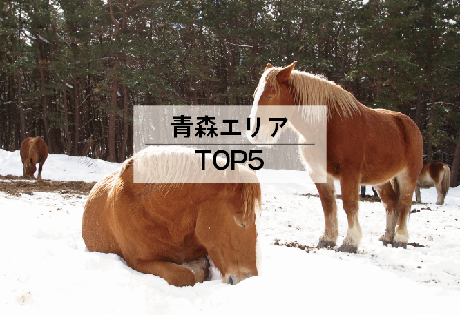 青森エリアTOP5