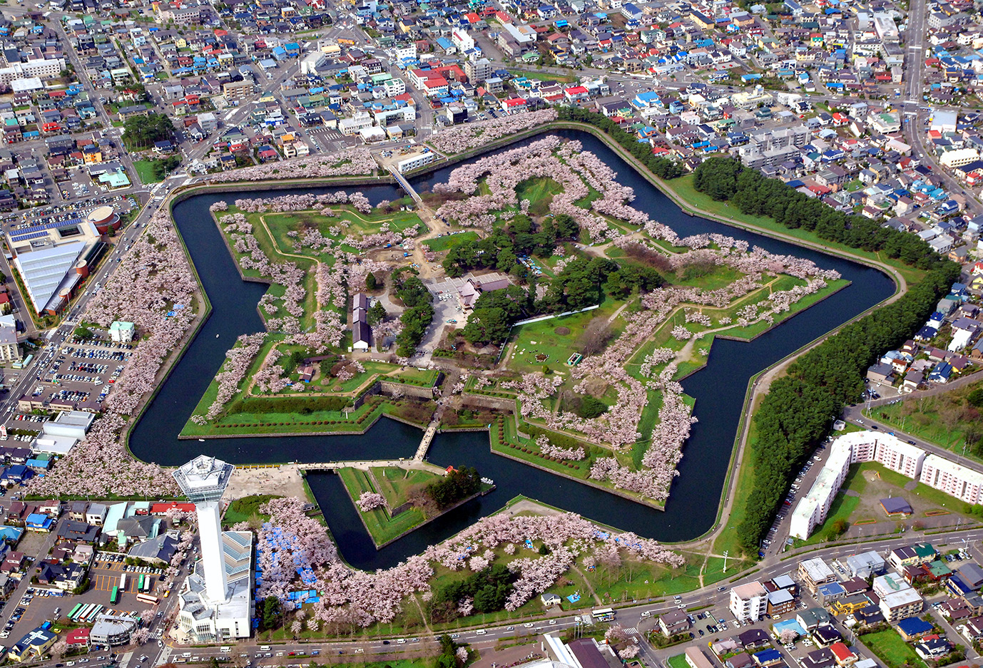 五稜郭公園 Tugドライブ